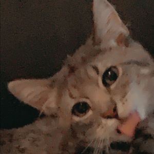 Meet your Posher, Brooke